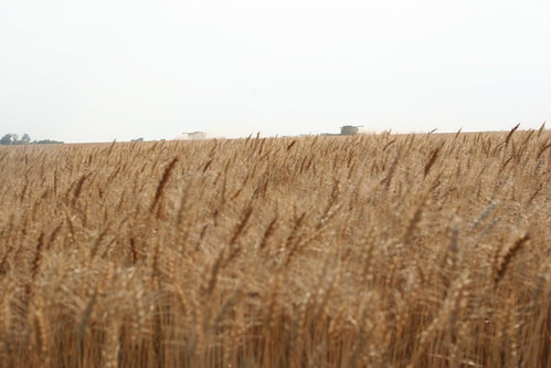 A field near Hazleton
