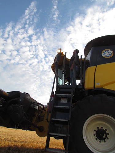 Harvest in Arnett, Okla.
