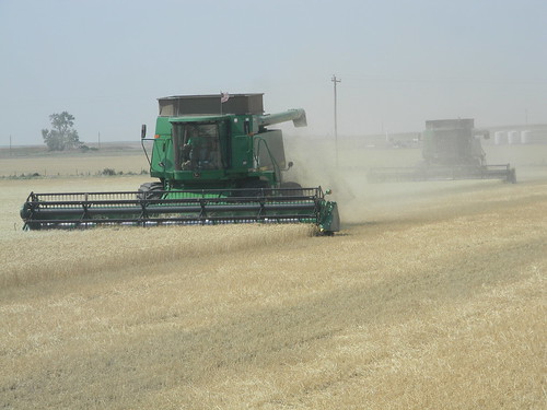 Emma_ElkCitycombining