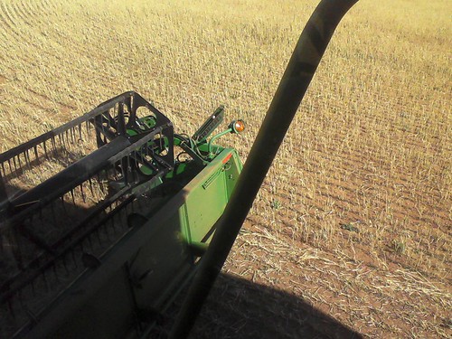 emma_elkcityharvesting