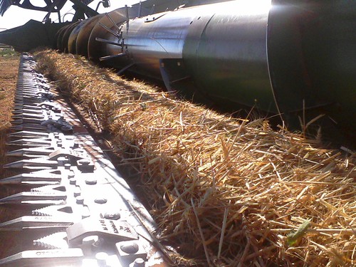 emma_elkcityharvesting