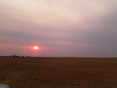 emma_elkcityharvesting