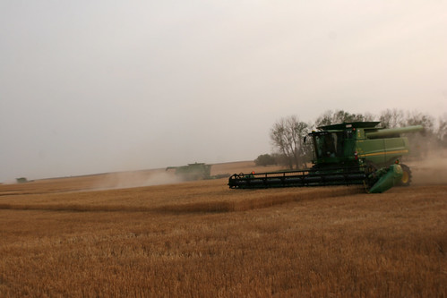 Cutting a field in Hazelton