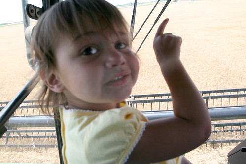 Look mommy the neighbors are testing too