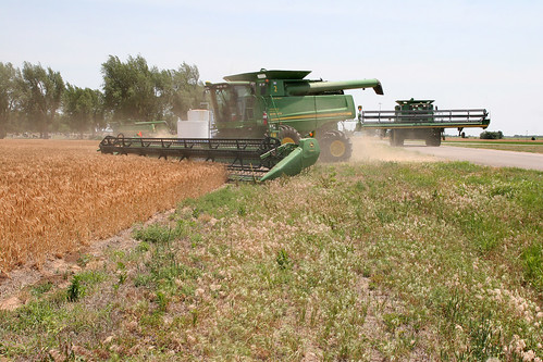 Testing a new field.