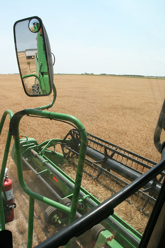 Away we go to test the wheat.