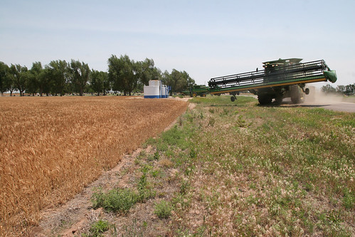 Crossing our fingers and hoping this field can go.