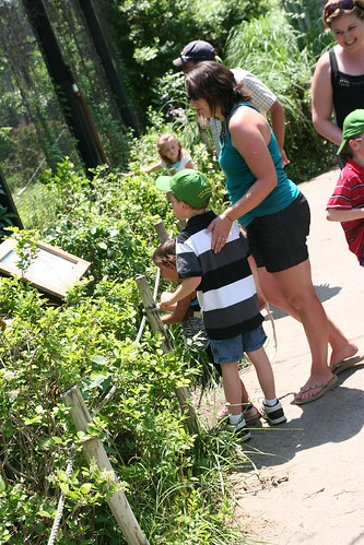 Leon takes a photo of me and Kaidence checking out annimals at the zoo with the Hoeners