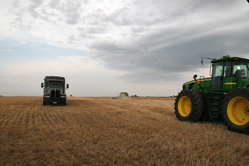 Hmmm maybe it will rain.