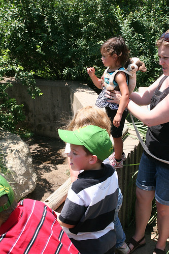 The Hoerners and Kaidence check out an exhibit at the zoo.
