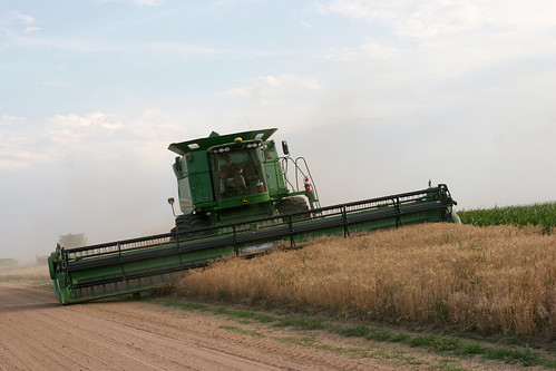 Callum cuts off a border of our field.
