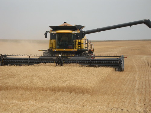 Harvest in Arnett, Okla.
