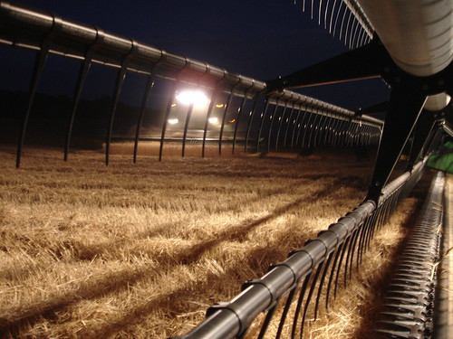 emma_andaleharvesting