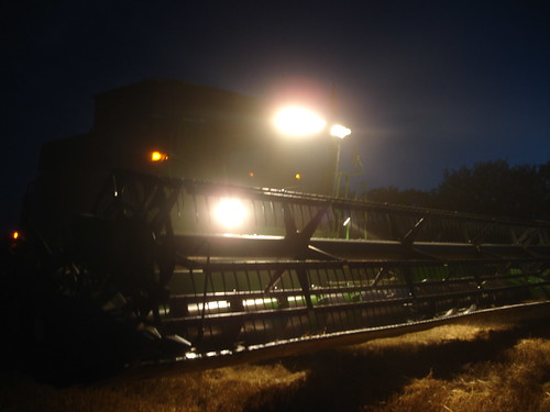 emma_andaleharvesting