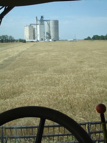 emma_andaleharvesting