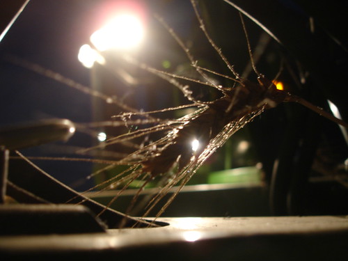 emma_andaleharvesting