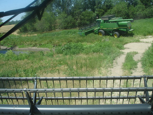 emma_andaleharvesting