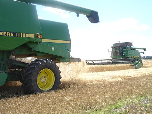 emma_andaleharvesting