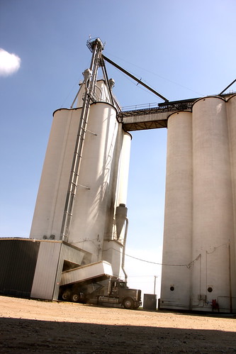 Wolf grain elevator - Deerfield, Kan.
