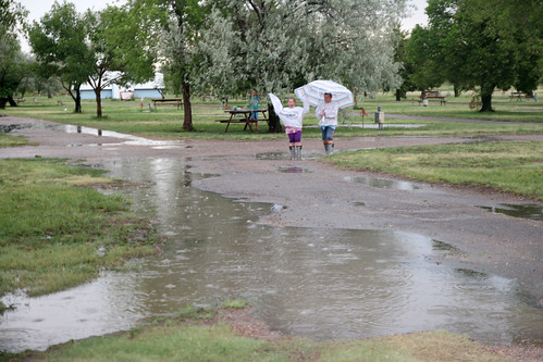 The children of Peterson farms and Popwell harvesting embrace the rain