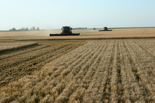 Face to face with the neighbors. See the difference in colors.