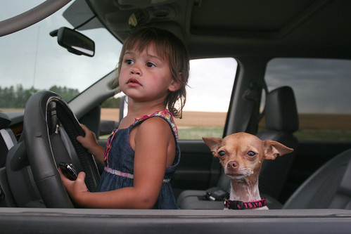 Managment makes sure everything is running smoothly in the field.