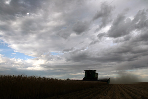 The combine is surrounded by what looks like will soon be rain.