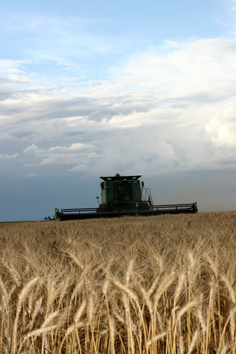 While we dont want rain the clouds sure make a neat background