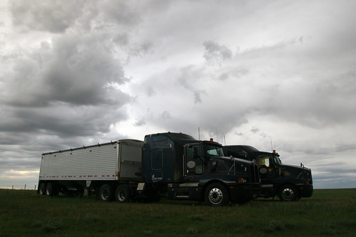 Some of the trucks wait to be dumped on hopefully before it rains.