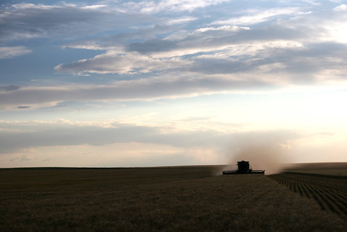 James finishes off a piece