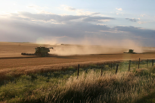 A panoramic view of the field.