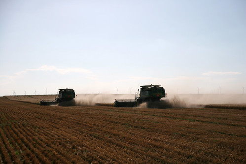 Combines cutting away from me.