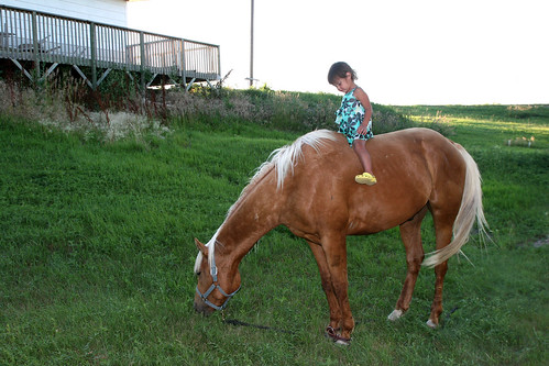 Kaidence finds another horse to ride