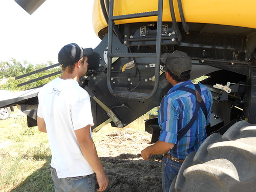 Dropping to windrows