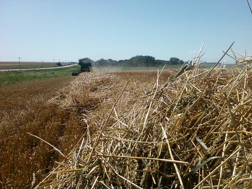 Emma_gregory combining