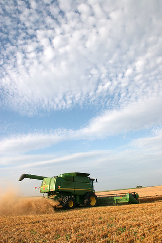 Some interesting clouds hung above our field today.