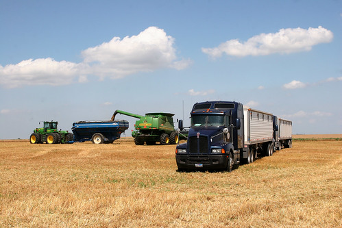 We worked on getting organized in the new field.