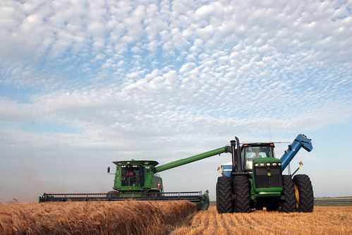 Leon dumps on the go.