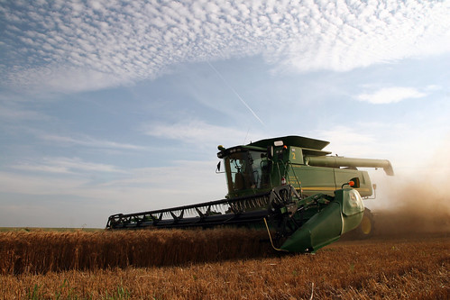 An airplane flys overhead