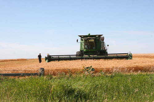 James checks to see if Leon is throwing anything over.