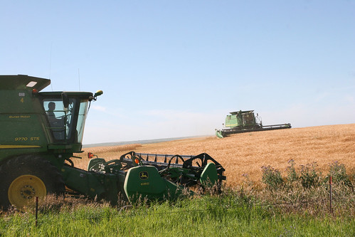 Johan opens up a spot in the field for the truck while leon tests the moisture.