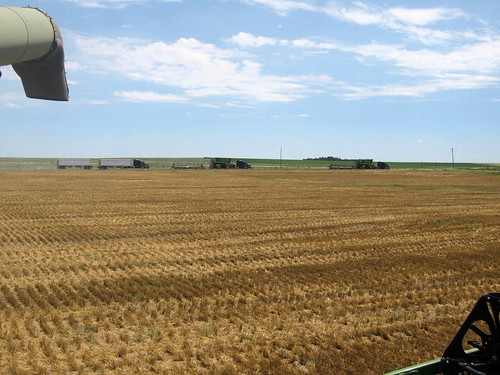 Reuniting with us in Colorado