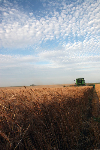 The sky made the day interesting today.