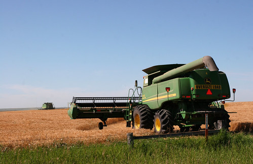 Johan gets off the road and lets Leon test the wheat