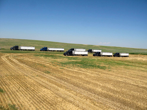 The trucks unloaded and ready for the day