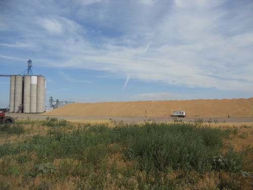 Hemingford wheat pile