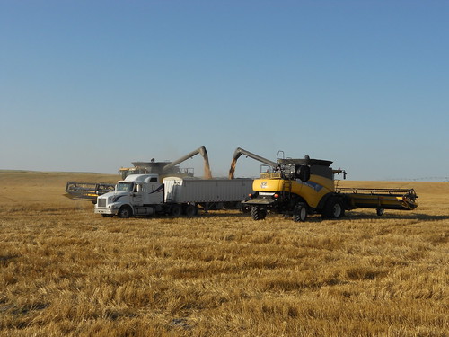 Both combines unloading