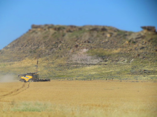 Combine near the butte.
