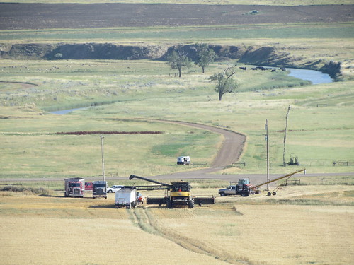 View from the butte.