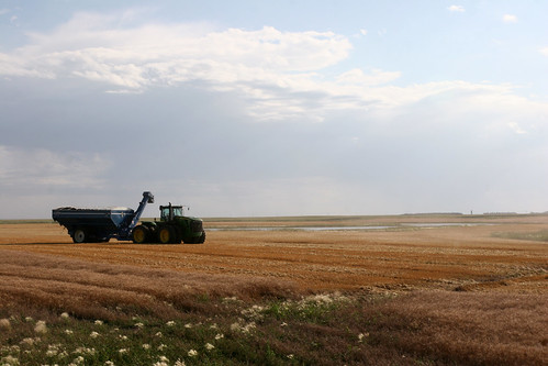 Water setting fields is not an uncommon sight in Faulkton.